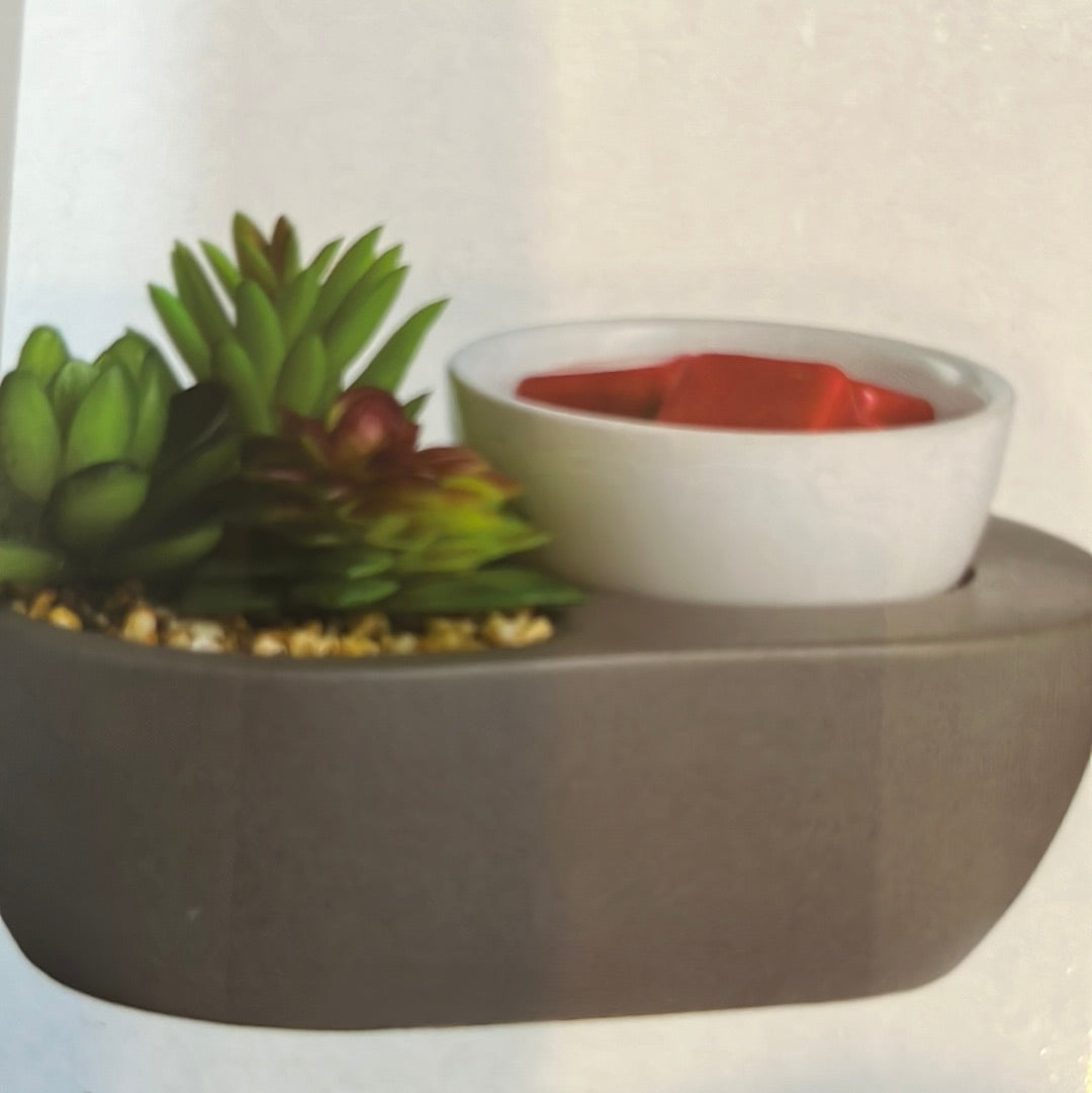 succulent warmer Succulent Wax Warmer – Just Be Candles & Crafts L.L.C