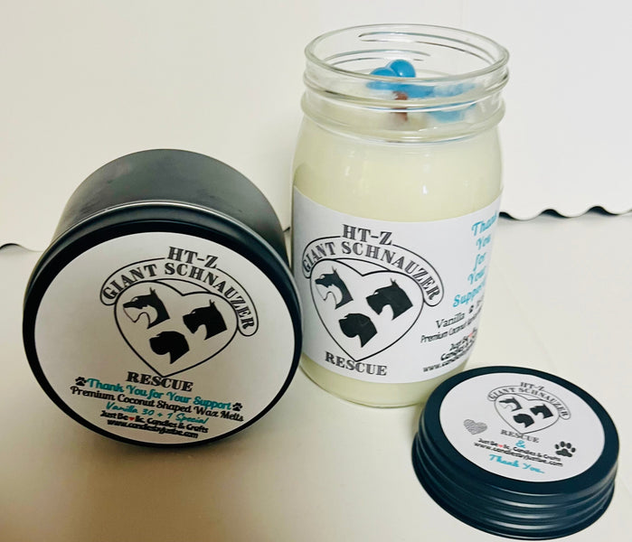 HT-Z Giant Schnauzer Rescue