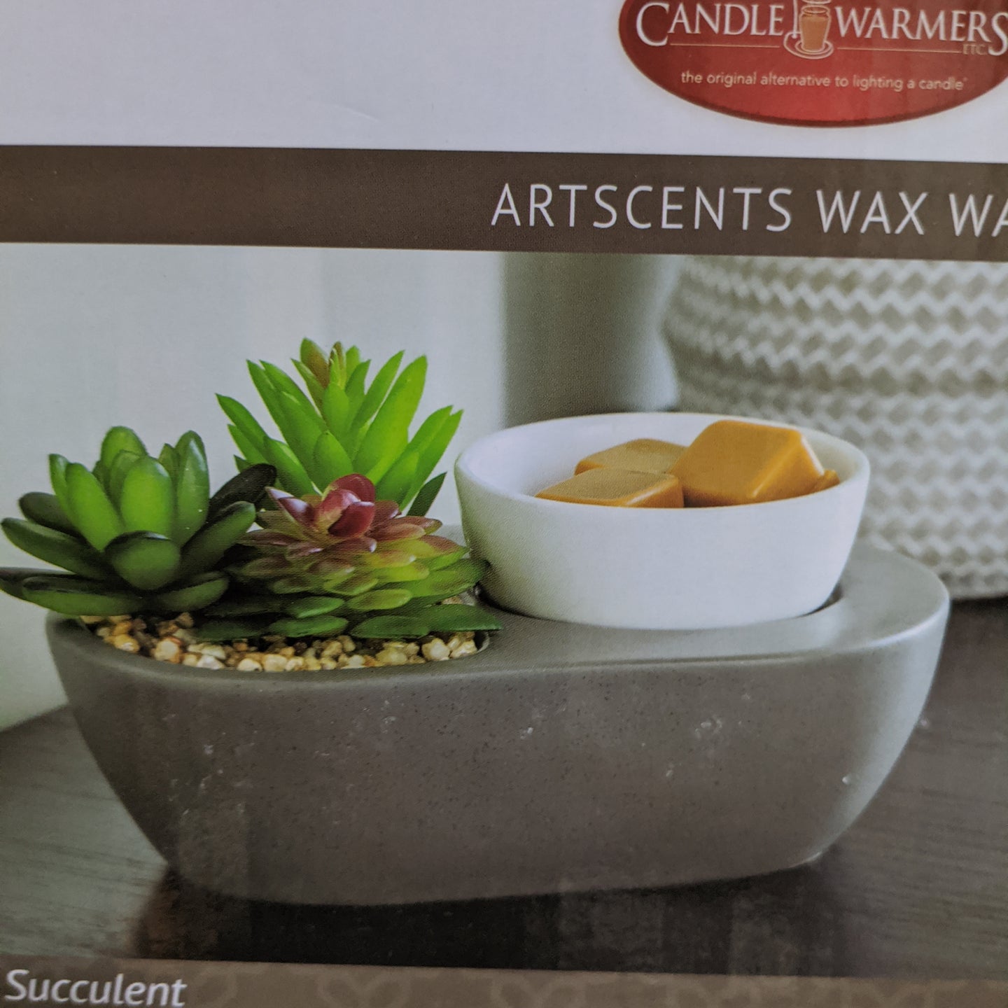 Succulent Wax Warmer